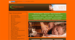 Desktop Screenshot of nocleginawegrzech.sk